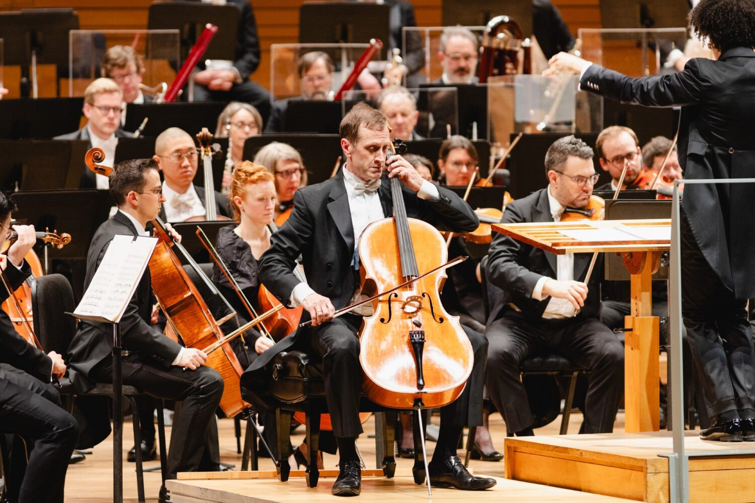violoncelle