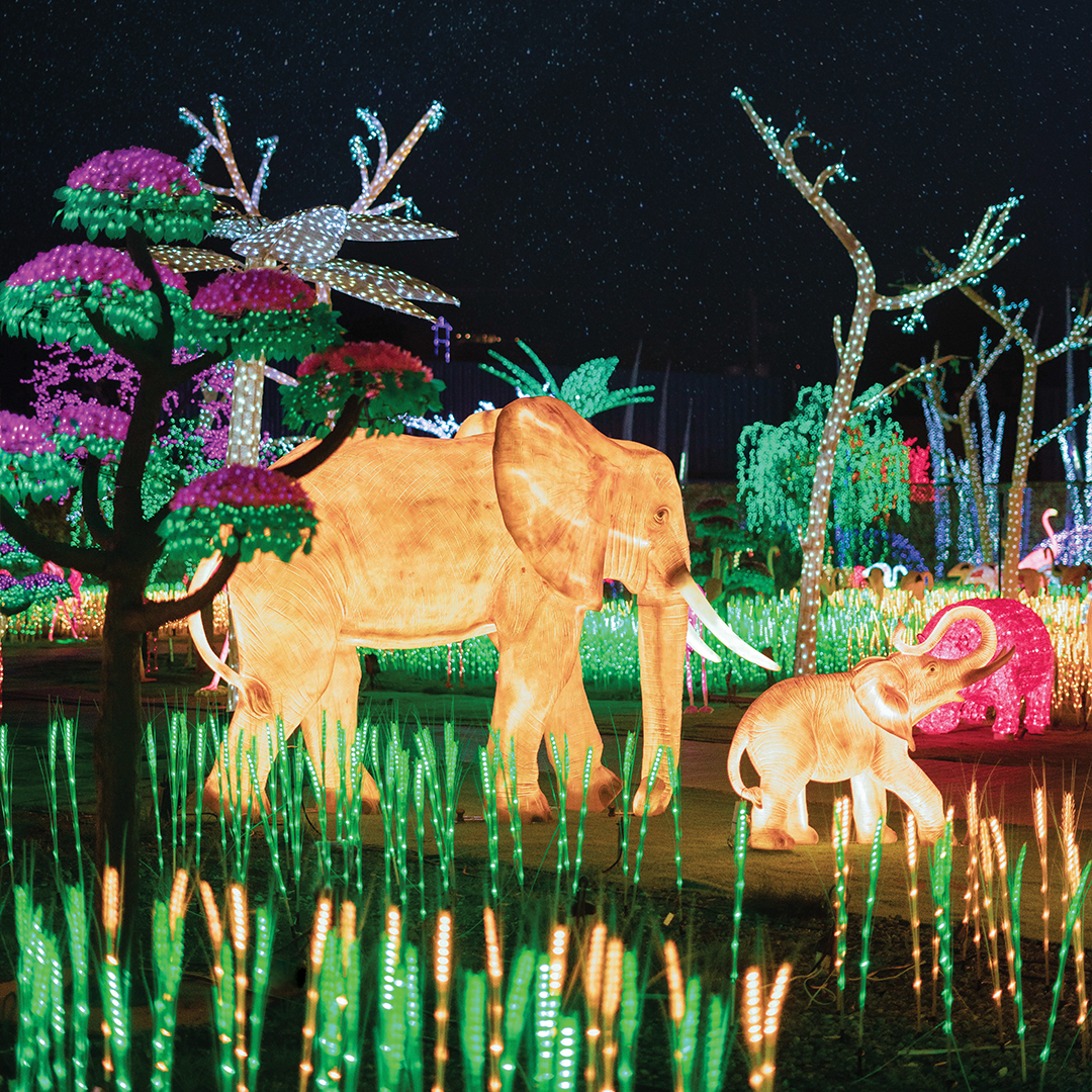 éléphants à Festilumi