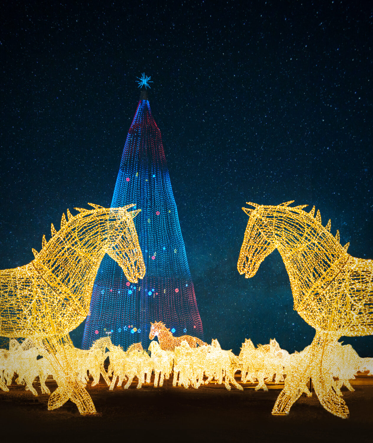 chevaux à Festilumi