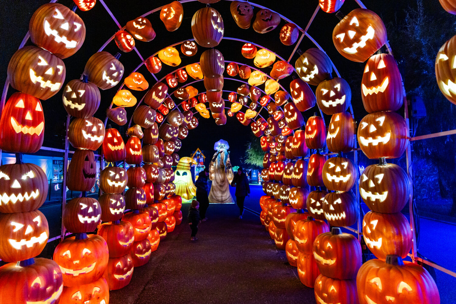 passage de citrouilles