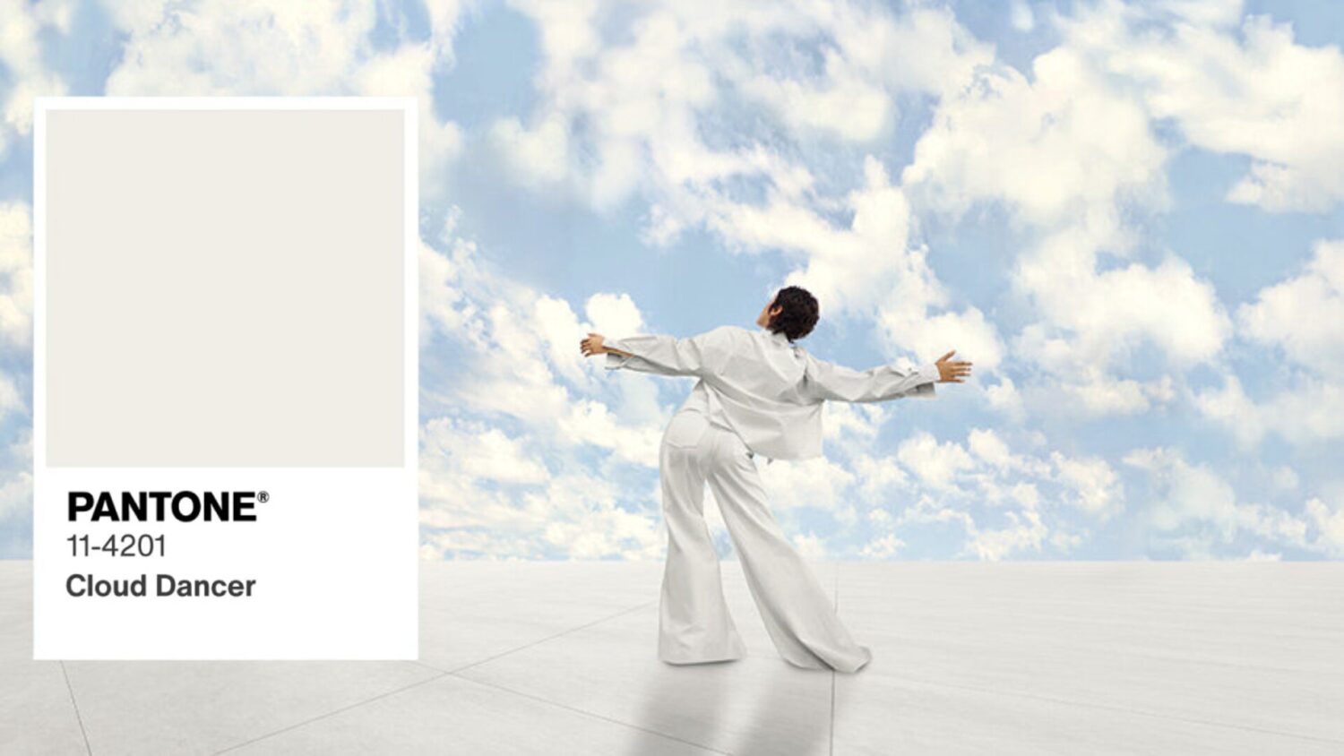 couleur Pantone 11-4201