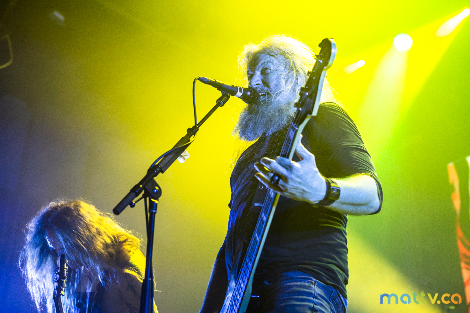 Mastodon