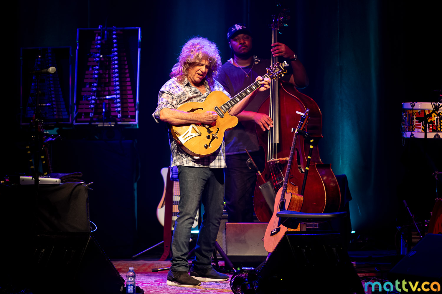 le guitariste Pat Metheny